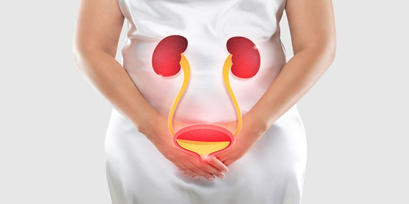 From Pregnancy to Menopause: How FabPad Urine Incontinence Panties Support You Through Life’s Changes