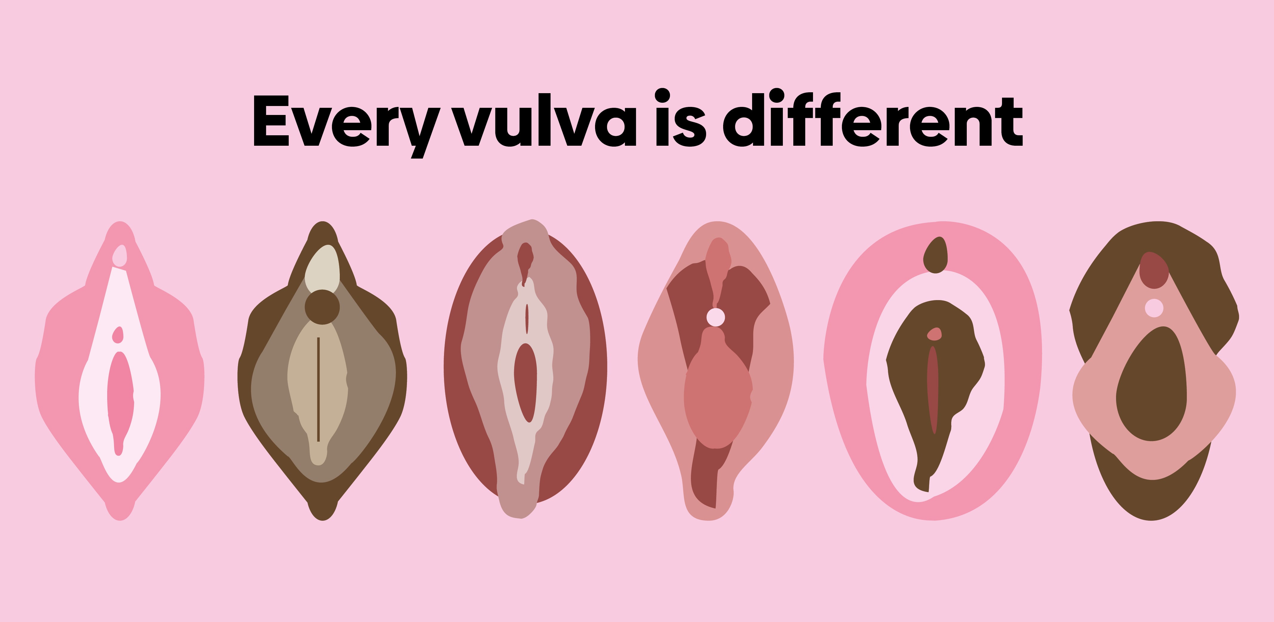 Vulva vs. Vagina: What's the Difference — and How to Keep Them Clean – Fabpad.in