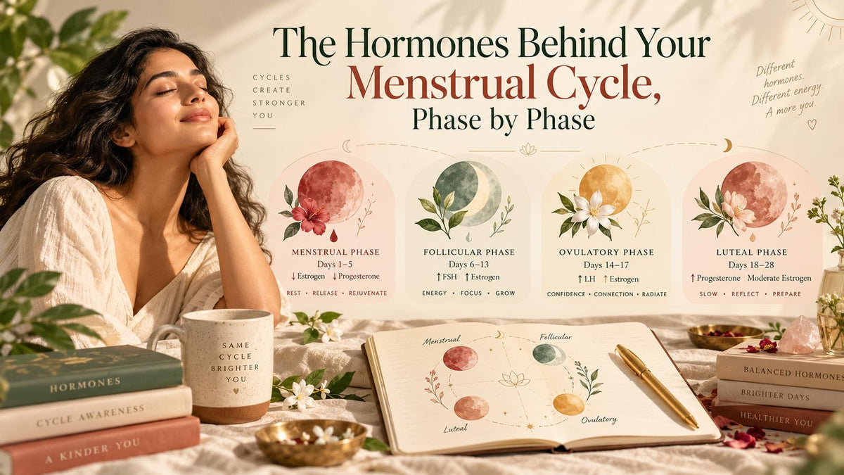 The Hormones Behind Your Menstrual Cycle banner: a woman relaxing beside an illustrated guide to the four cycle phases