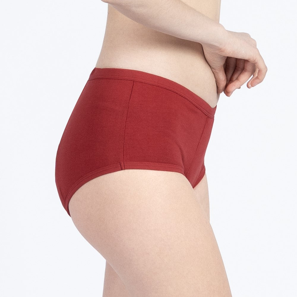 Fabpad Reusable Leak Proof Period, Urine incontinence, Postpartum Panties/Underwear lasts for up to 3 Years - made for heaviest of flow days